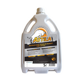 Attila
