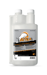 Attila