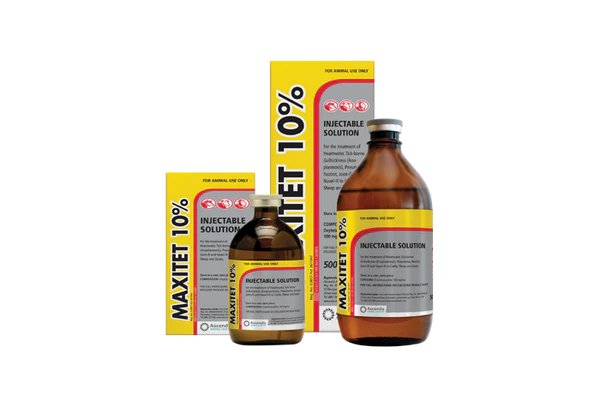 Maxitet 10%